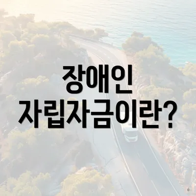 장애인 자립자금이란?