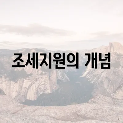 조세지원의 개념