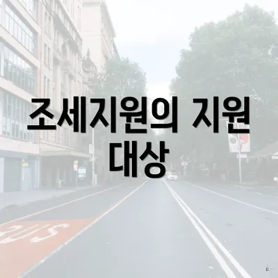 조세지원의 지원 대상
