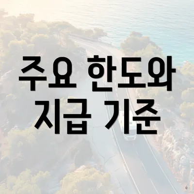주요 한도와 지급 기준