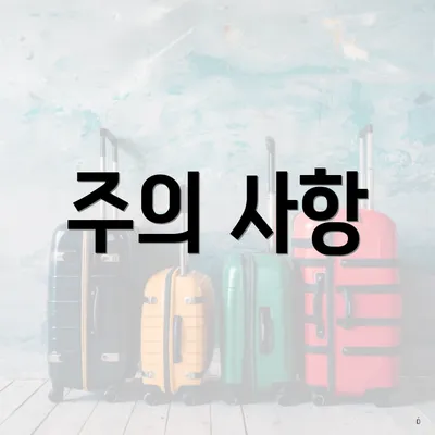 주의 사항
