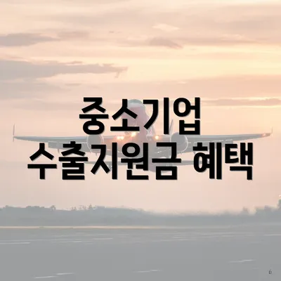 중소기업 수출지원금 혜택