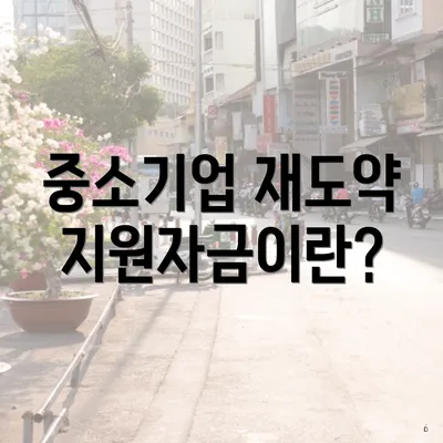 중소기업 재도약지원자금이란?