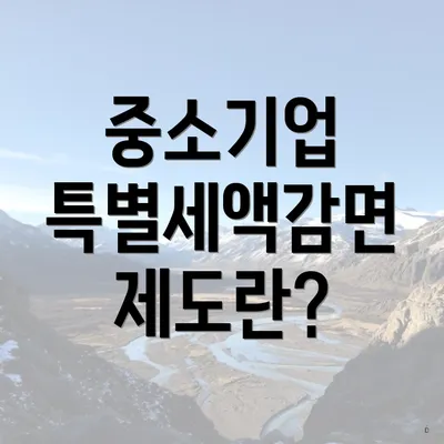 중소기업 특별세액감면 제도란?