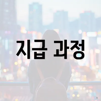 지급 과정
