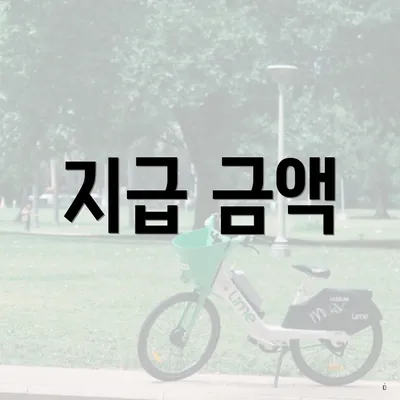 지급 금액