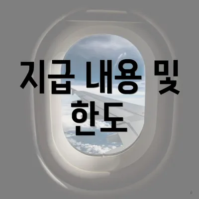 지급 내용 및 한도