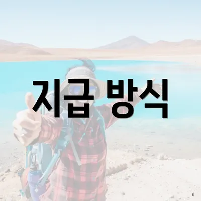 지급 방식