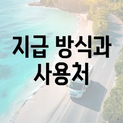 지급 방식과 사용처