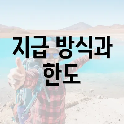 지급 방식과 한도