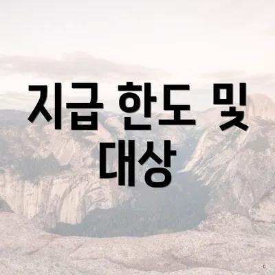 지급 한도 및 대상