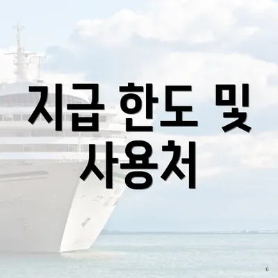 지급 한도 및 사용처