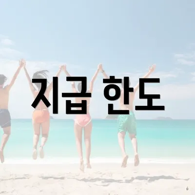 지급 한도