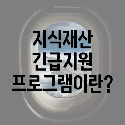 지식재산 긴급지원 프로그램이란?