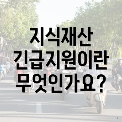 지식재산 긴급지원이란 무엇인가요?