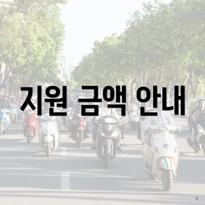 지원 금액 안내