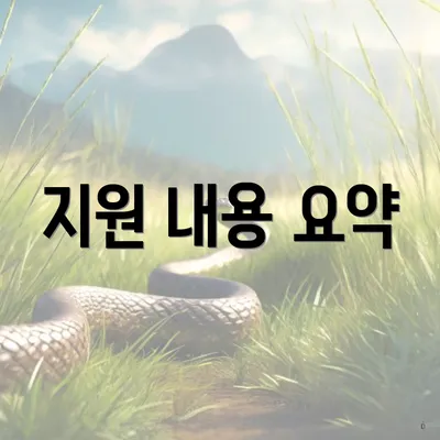 지원 내용 요약