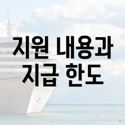 지원 내용과 지급 한도