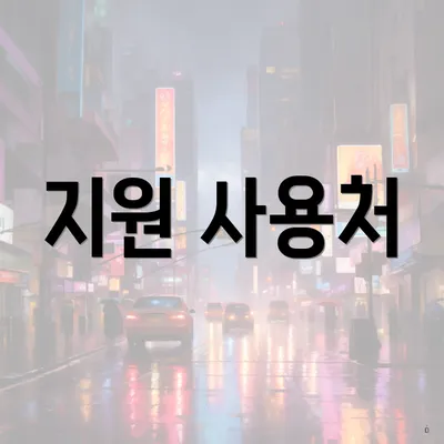 지원 사용처