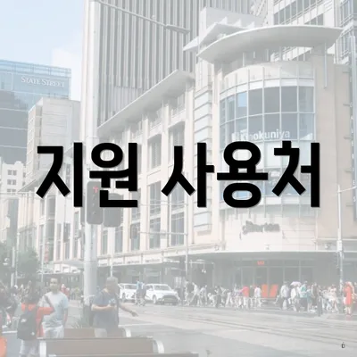 지원 사용처