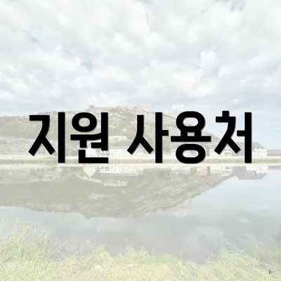 지원 사용처