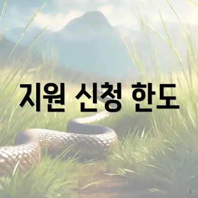 지원 신청 한도