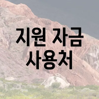 지원 자금 사용처
