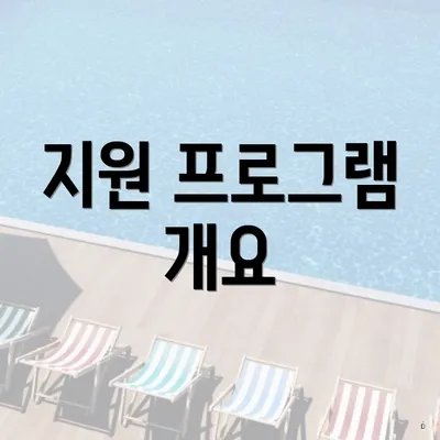 지원 프로그램 개요