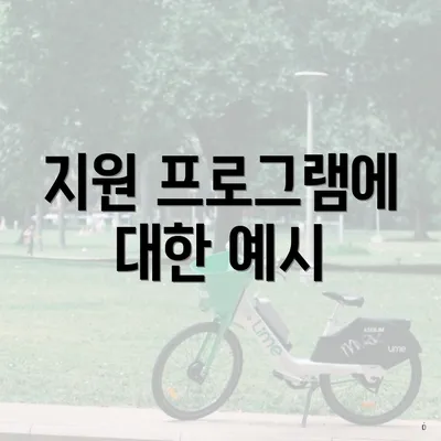 지원 프로그램에 대한 예시