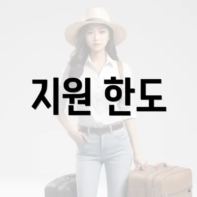 지원 한도