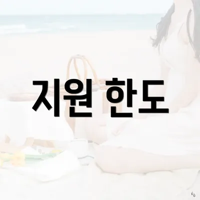 지원 한도