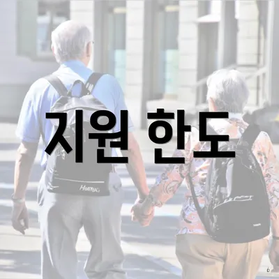 지원 한도