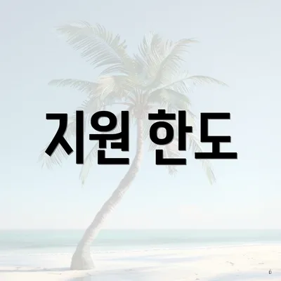 지원 한도