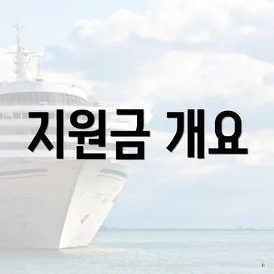 지원금 개요