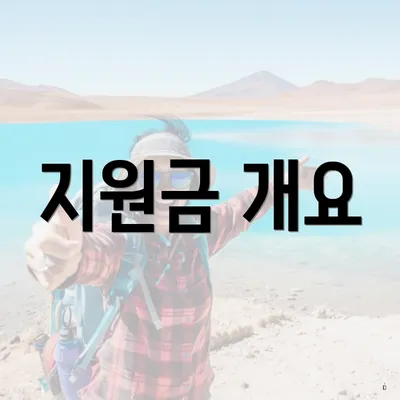 지원금 개요