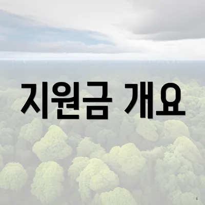 지원금 개요
