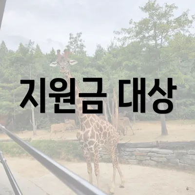 지원금 대상