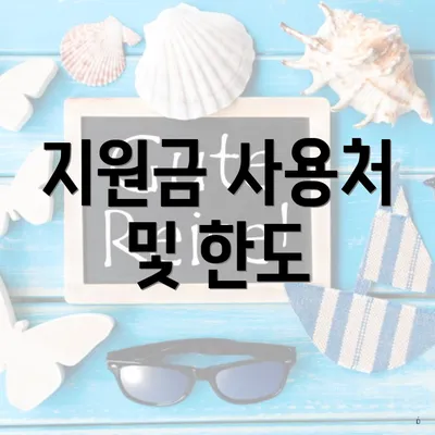 지원금 사용처 및 한도