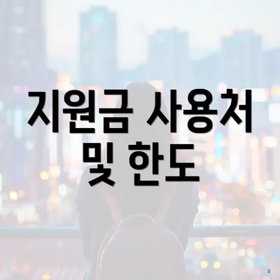 지원금 사용처 및 한도