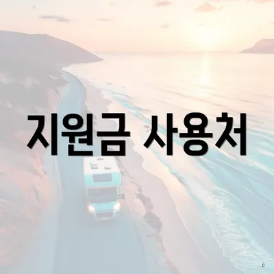 지원금 사용처