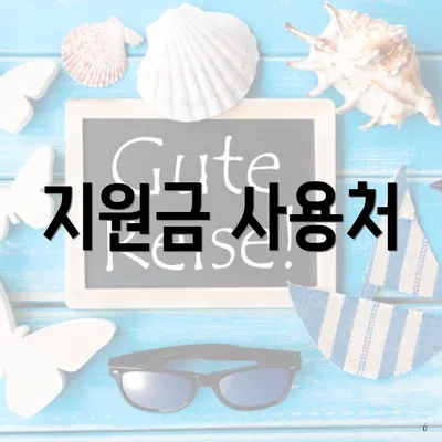 지원금 사용처