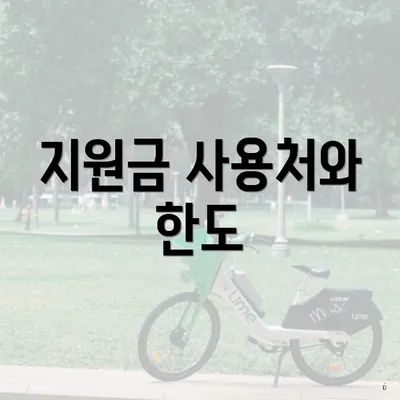 지원금 사용처와 한도