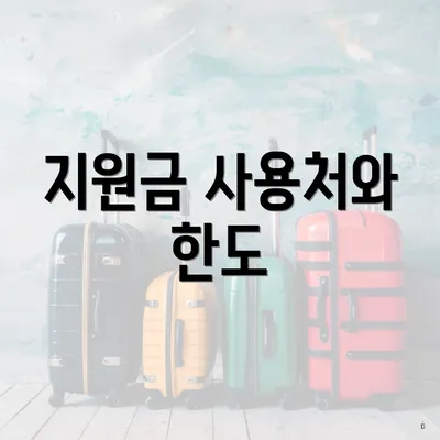 지원금 사용처와 한도