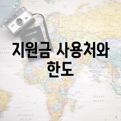 지원금 사용처와 한도