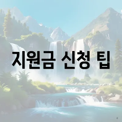 지원금 신청 팁