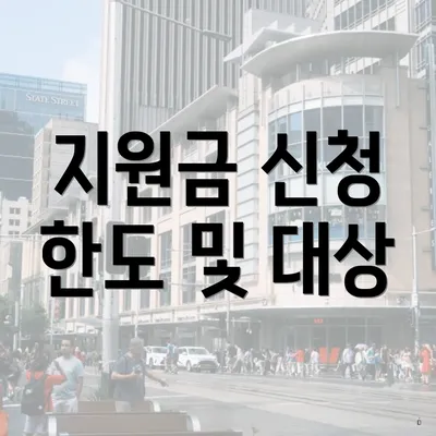 지원금 신청 한도 및 대상