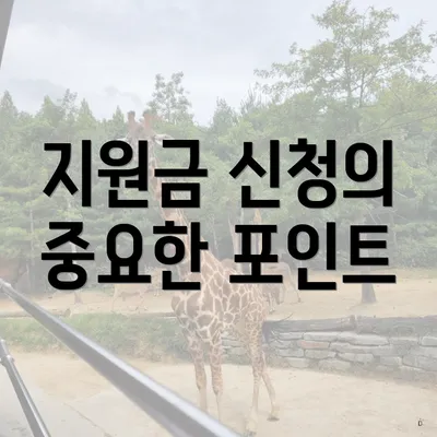 지원금 신청의 중요한 포인트