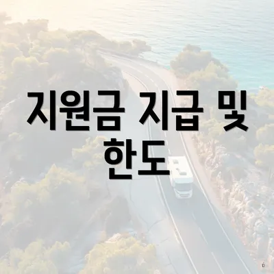 지원금 지급 및 한도