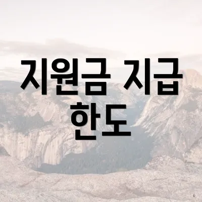 지원금 지급 한도