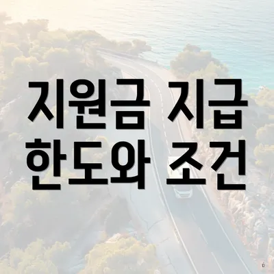 지원금 지급 한도와 조건